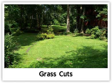 Grass Cuts